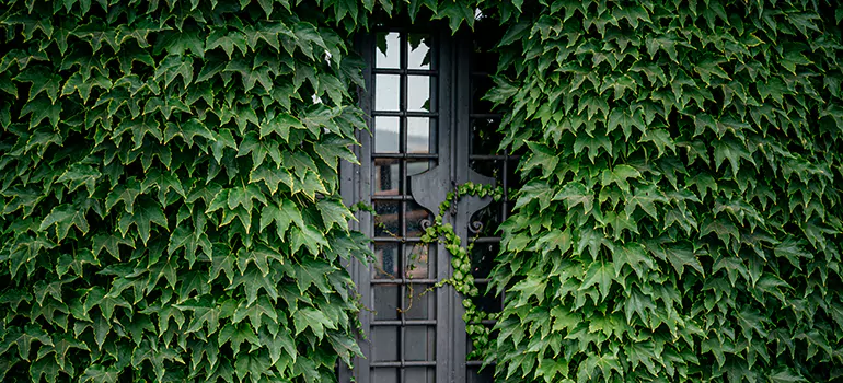 Garden Gate Repair in Los Altos, CA