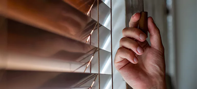 Double Roller Blinds in Los Altos, CA