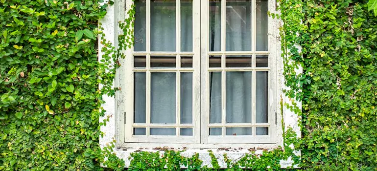 Garden Window Repair Near Me in Los Altos, CA