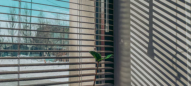 Commercial Window Blinds in Los Altos, CA