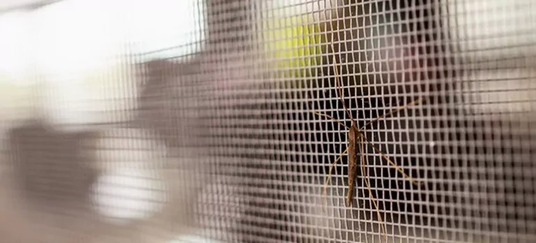 Repair Mosquito Mesh For Windows in Los Altos, CA